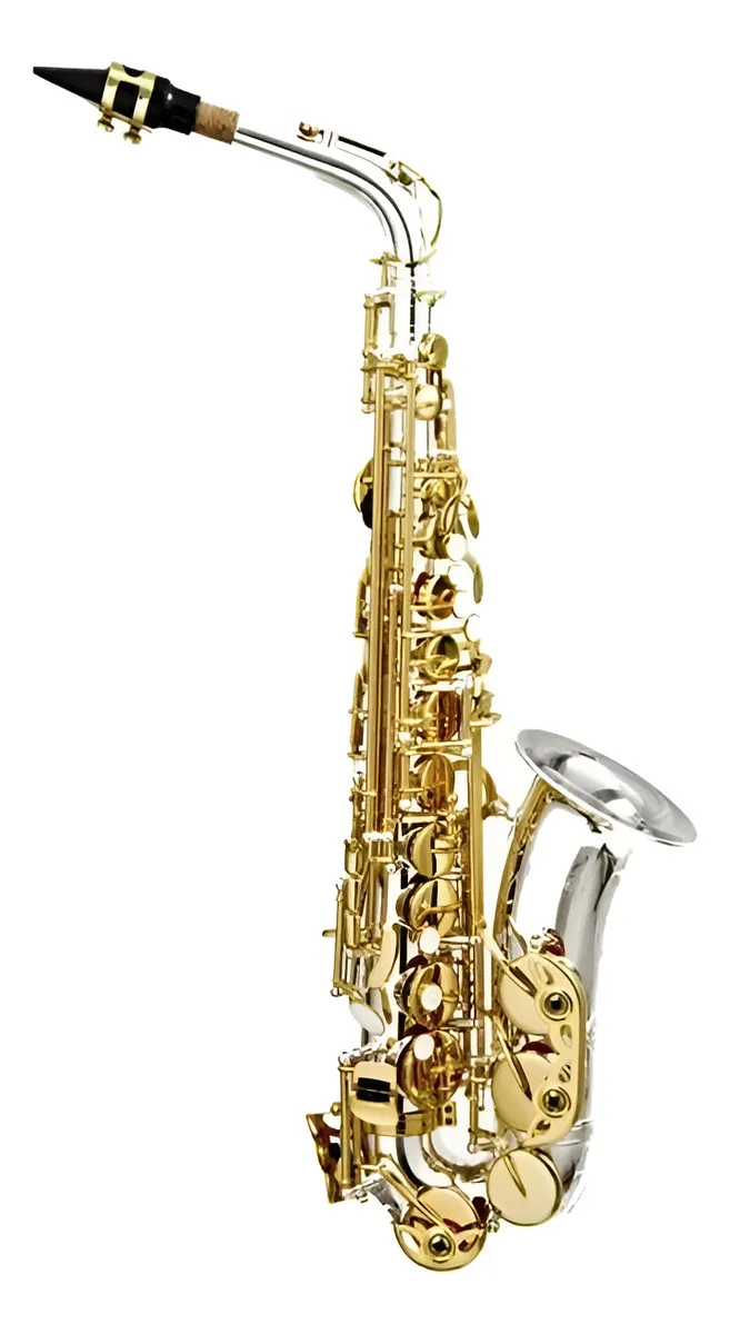 Sax Alto Hoyden Has-25pg Prata/laqueado (mib)