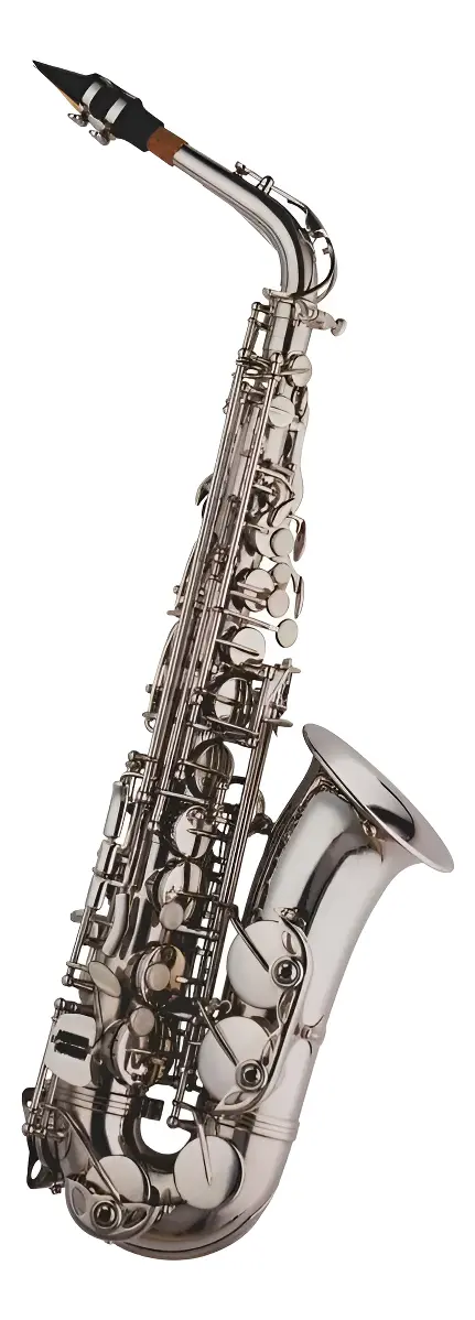 Sax Alto Hoyden Niquelado Has-25n (mib)