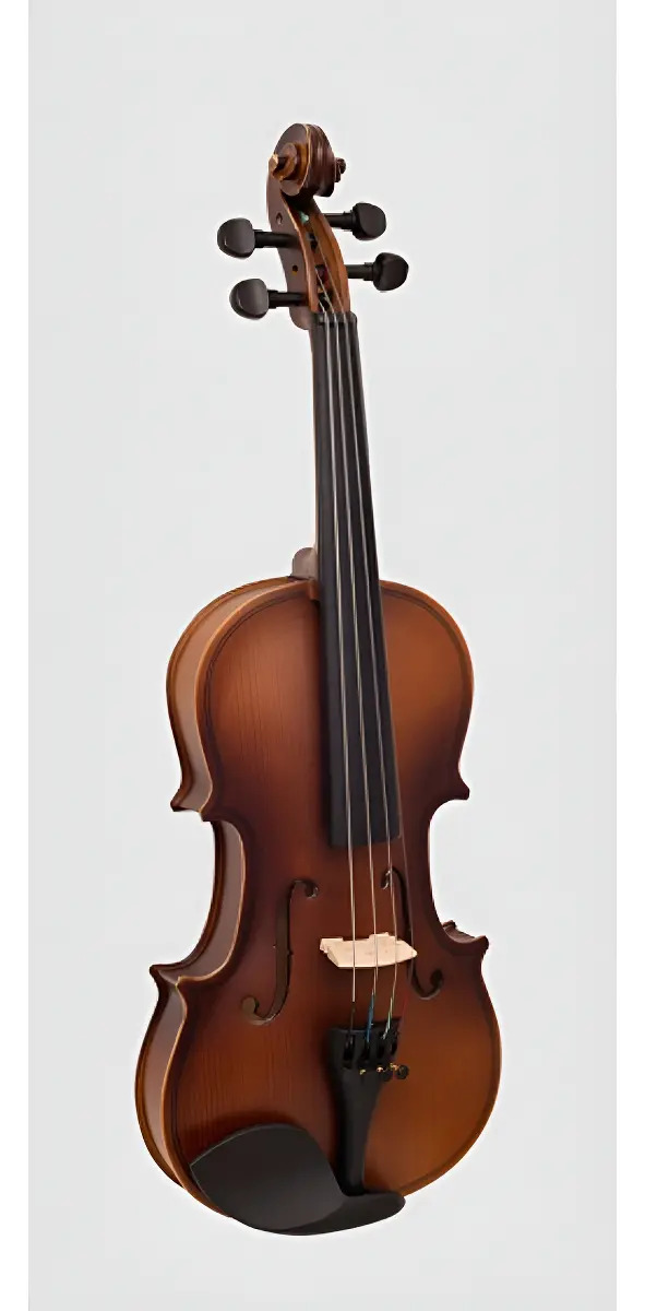 Violino Vogga Von144n - 4/4